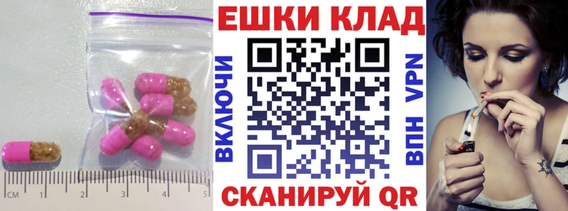 Экстази TESLA  мега вход  Балтийск 