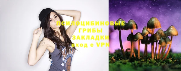 спиды Арсеньев