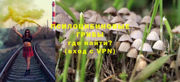 спиды Арсеньев