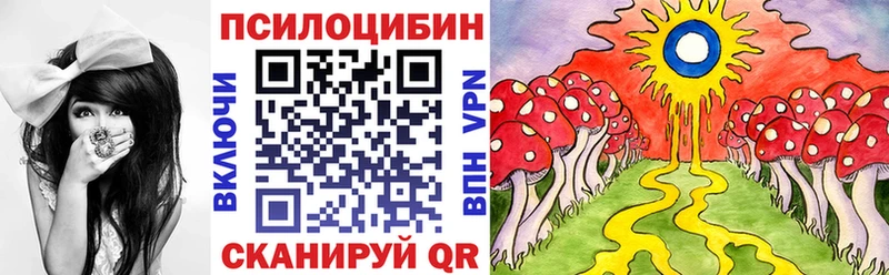 Галлюциногенные грибы Psilocybe  Балтийск 